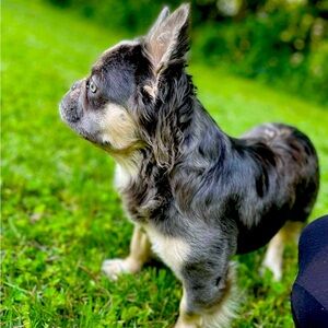 @concept_posh Shipping label for Blazer